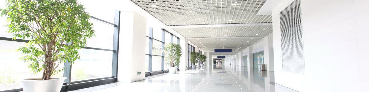  Tenemos hoteles y otros negocios en Miami Playa. Casa Esmeralda en Miami Playa